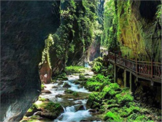 張家界旅游重大發(fā)現：無冬天更無夏天——朝陽地縫景區